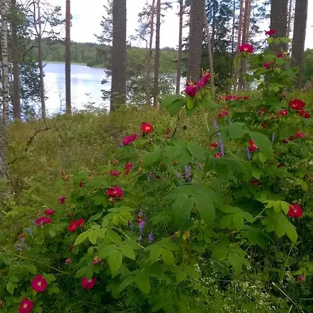 公寓 Kivijaerven Linnanmaeki Kivijärvi