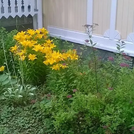 Kivijaerven Linnanmaeki * Kivijärvi