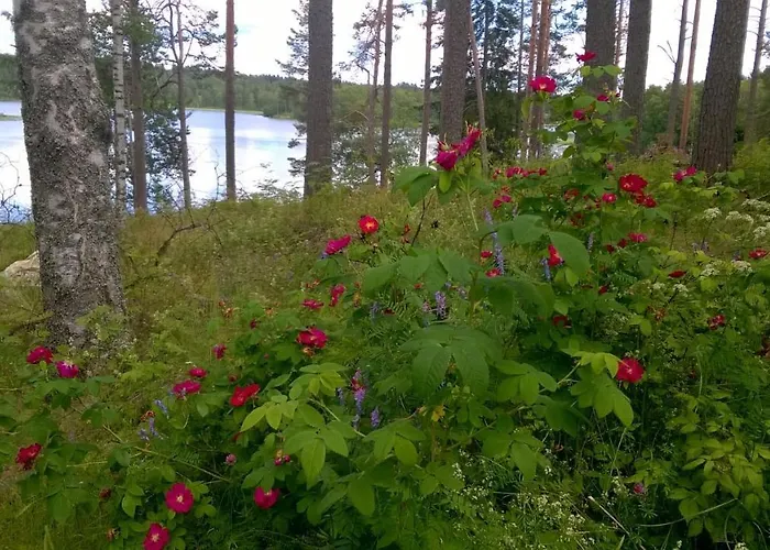 Apartment Kivijaerven Linnanmaeki Kivijärvi