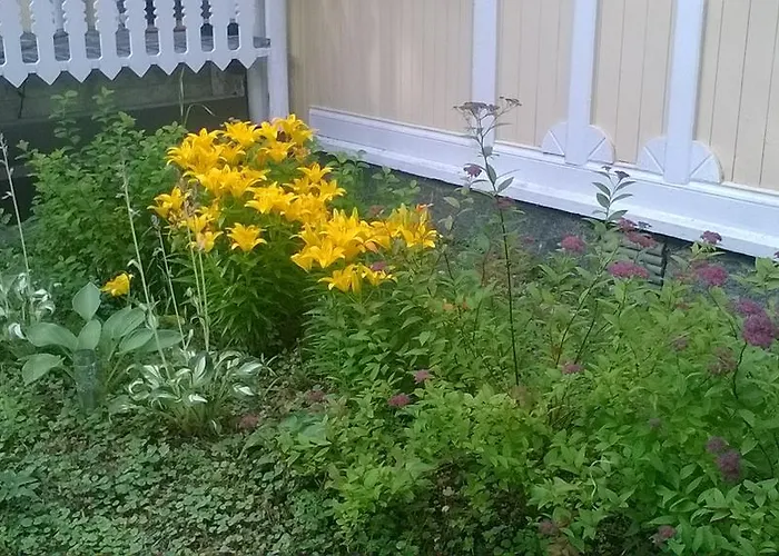 Kivijaerven Linnanmaeki * Kivijärvi